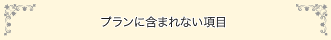 プランに含まれない項目