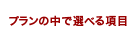 プランの中で選べる項目