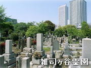 都立 雑司ヶ谷霊園